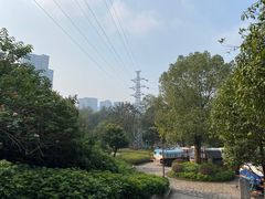 -重庆彩云湖湿地公园