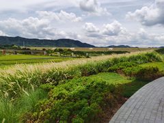 -光明小镇欢乐田园