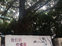-黄埔古港