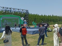 -黄海国家森林公园