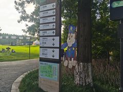 -黄海国家森林公园