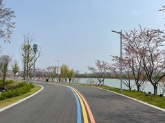 -羊山湖公园