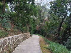 -黄埔油麻山森林公园