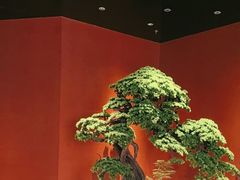 -阿伟海鲜楼·福建菜(延寿店)