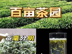 -渡海小渔村.老辈日照菜