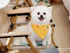 -凯德广场(金牛店)
