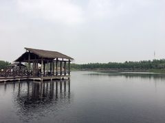 -溱湖国家湿地公园