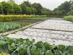 -洪湖家庭农场·团建·露营·会议