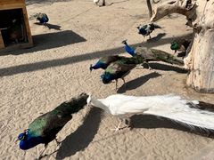 -水上乐园·欢乐世界