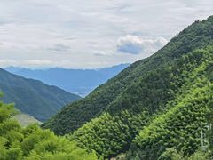 -青花椒花椒鱼(合生汇店)