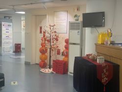 -温州伯思立医院