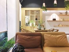 -柴务处·柴犬主题狗咖