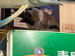 -洪齐林老镇