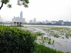 -月湖风景区