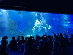 -江和美海洋公园