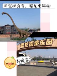 -恐龙探索乐园(磁器口店)
