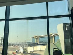 -米兰马尔彭萨国际机场