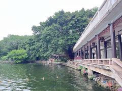 -荔湾湖公园
