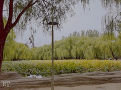 -阿尔丁植物园