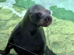 -珠海长隆海洋王国
