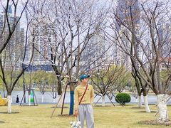 -西北湖绿化广场