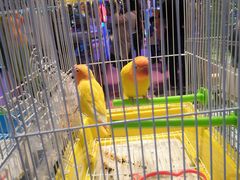 -鸿通城购物中心