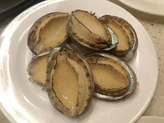 -青蓬蒸汽海鲜·深圳老字号·团建聚会(壹方城店)