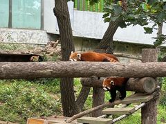 -大连森林动物园