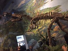 -自贡恐龙博物馆