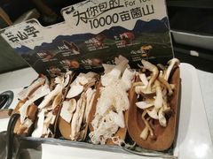 -芸山季·云南山珍菌火锅(南翔印象城MEGA店)