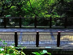 -燕晗山郊野公园