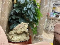 -新碧水留香新桑拿