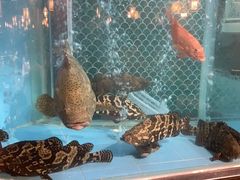 -顺意·顺德家乡菜(国际人才大厦店)