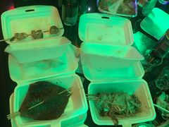 -阿镇烧烤(新桥路店)