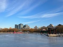 -莲花池公园