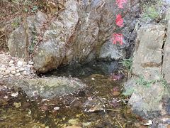 -牛鱼嘴原始生态风景区