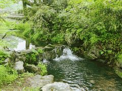 -中国茶叶博物馆(双峰馆区)