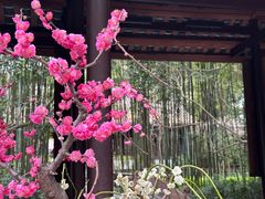 -成都杜甫草堂博物馆