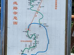 -牛背梁国家森林公园