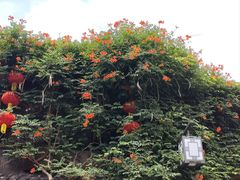 -哑巴生煎(临顿路店)