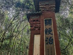 -老君山