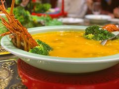 -陈麻婆豆腐总店