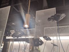 -新辣道鱼火锅(航天万源店)