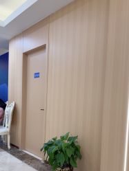 -上海伊莱美医疗美容医院