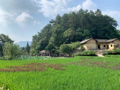 -韶山毛泽东同志故居