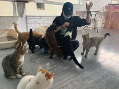 -喵屿·大理花园猫咖