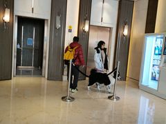 -上海崇明金茂凯悦酒店