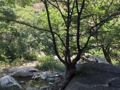 -黑龙潭风景区