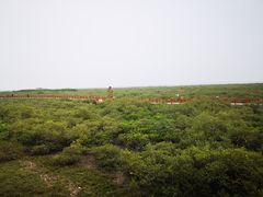 -北海金海湾红树林生态旅游区