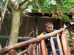 -呀路古热带植物园